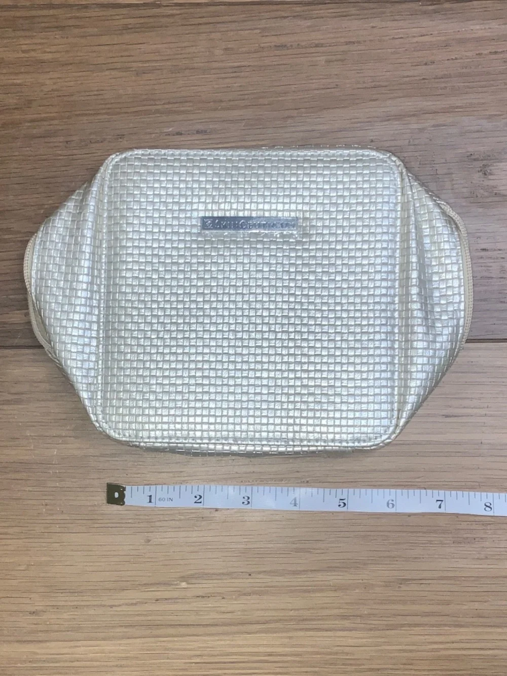 Brand New Never Used SkinCeuticals Gold Makeup or Product Bag